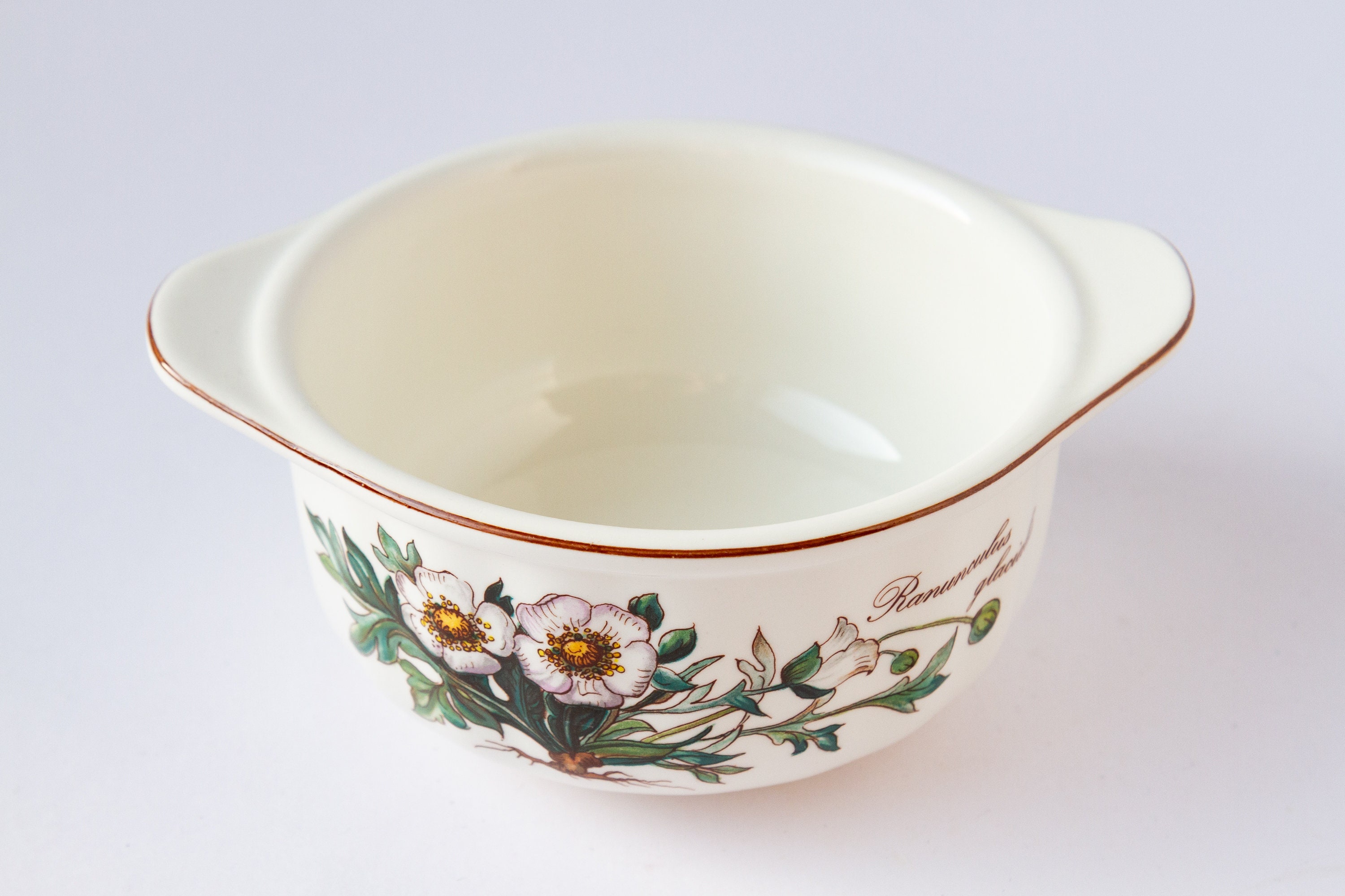 VINTAGE Villeroy and Boch Vilbofour Botanica Soup or Oven Dish