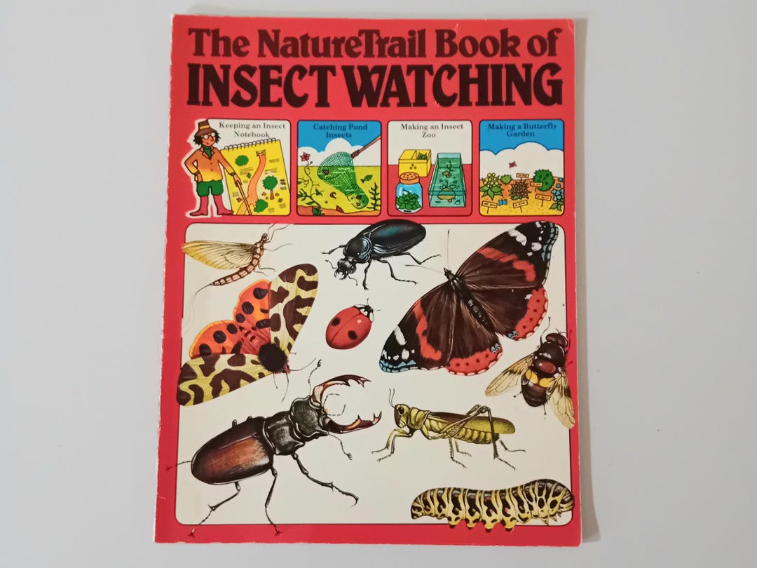 Usborne Nature Trail Book of Insect Watching by Ruth Thomson Vintage ...