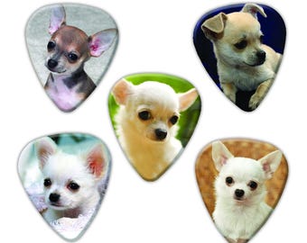 Juego de 5 púas de guitarra de perro chihuahua