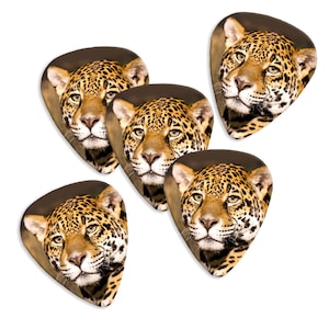 Op de afbeelding: Set van vier gitaarplectrums met een close-up afbeelding van het gezicht van een jaguar. De jaguar heeft een gevlekte vacht met bruine en zwarte markeringen.