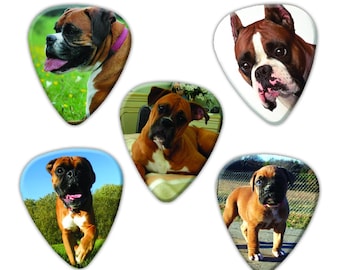 Juego de 5 púas de guitarra de perro bóxer