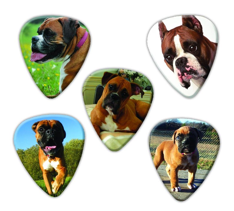 Puede incluir: Conjunto de cinco p&uacute;as de guitarra con diferentes im&aacute;genes de perros boxer. Las p&uacute;as tienen la forma de una p&uacute;a de guitarra est&aacute;ndar y est&aacute;n hechas de un material pl&aacute;stico duradero.