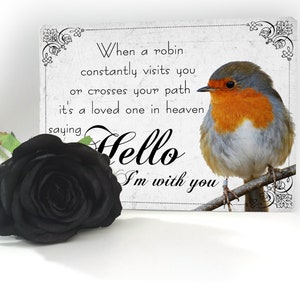 Robin Sympathy Loved One In Heaven Plastic Hand Made Plaque Sign Gift memorial in memory secret santa