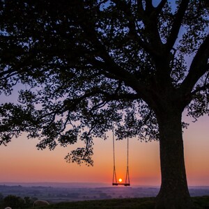 May include: Silhouette of a large tree with a swing hanging from a branch, set against a sunset sky. The sun is a bright orange orb, and the landscape below is a hazy purple and orange.