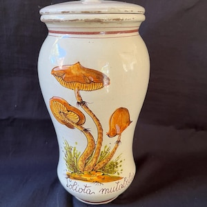 Può includere: Un vaso in ceramica color crema con coperchio, con un disegno dipinto a mano di funghi arancioni e marroni. Il vaso ha un aspetto leggermente invecchiato, con una fascia rossa intorno alla parte superiore e le parole "Solivta mutabilis" alla base.