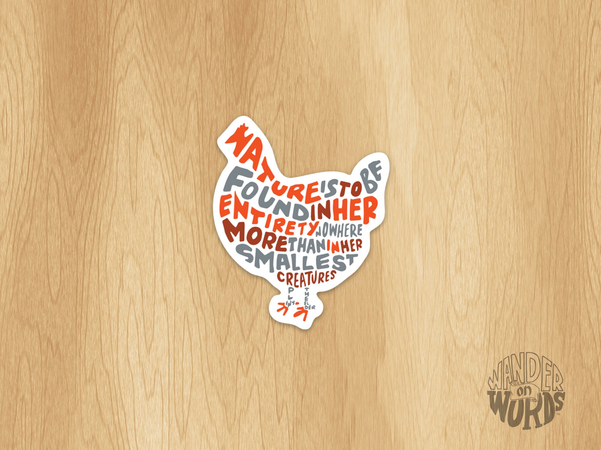 Chicken Drawing Sticker Hand-lettered Chicken Sticker, Chicken Art Sticker, Animal Sticker ...