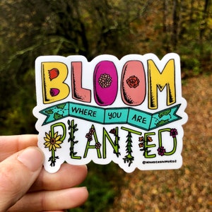 Sticker handgeschreven bloei waar je bent geplant, inspirerende sticker, bloemsticker, bloemsticker, handgeschreven sticker, kunststicker