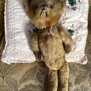 Farnell Bear - Etsy