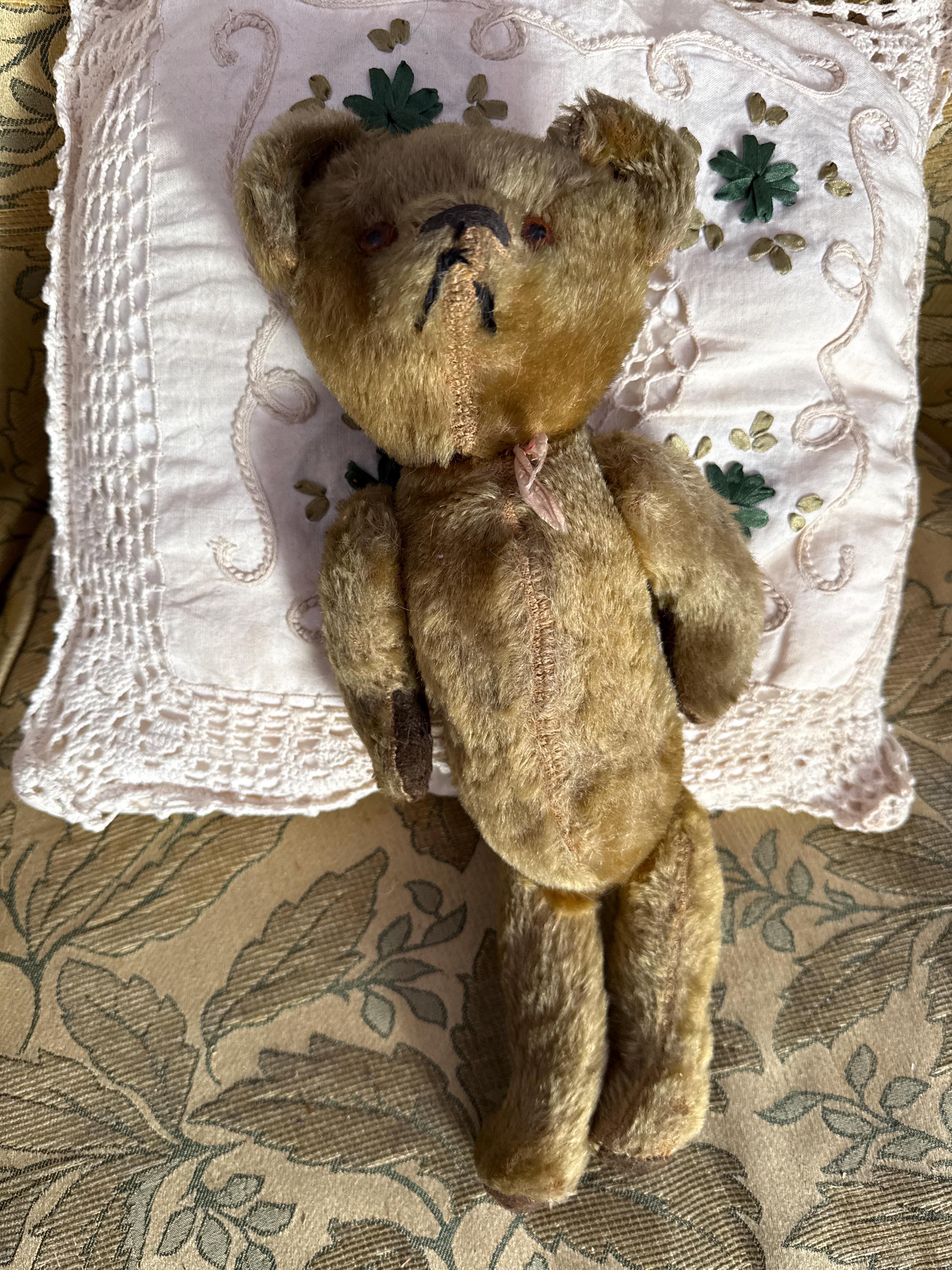 Farnell Bear - Etsy