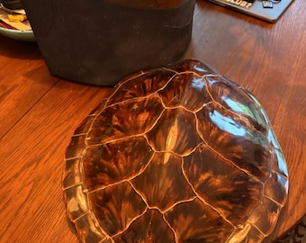 Green Turtle Shell (Chelonia mydas), circa 1850, 64cm long stunning pre-CITES