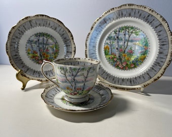 Vintage Royal Albert Silver Birch Bone China 4 piece place setting from England