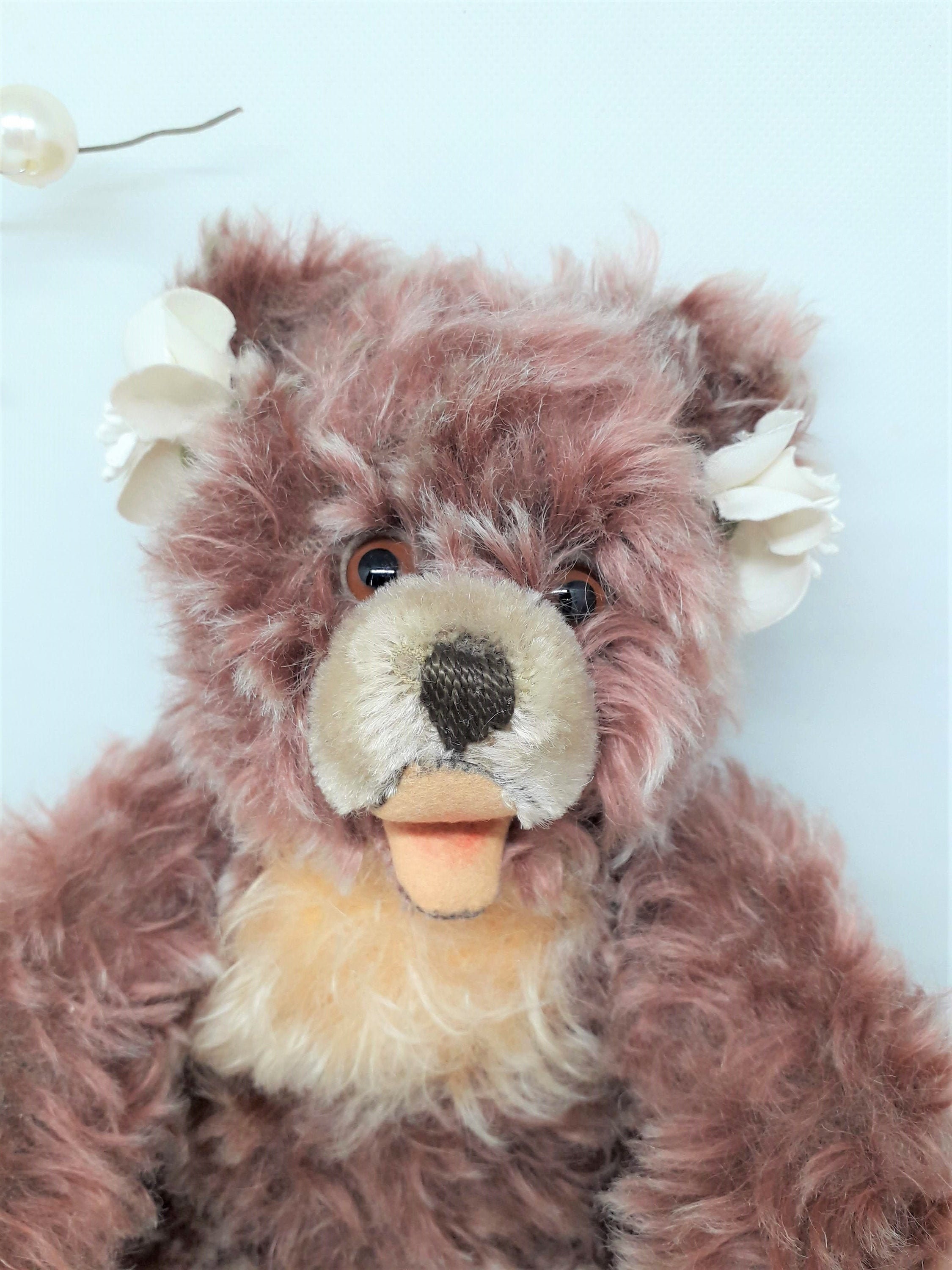 zotty bear