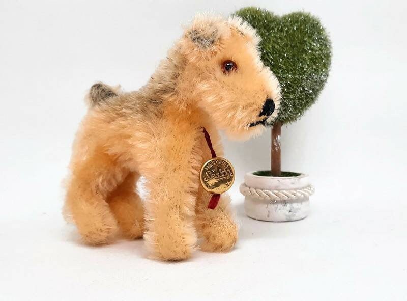 Mini Hermann Teddy Terrier Hund Etsy