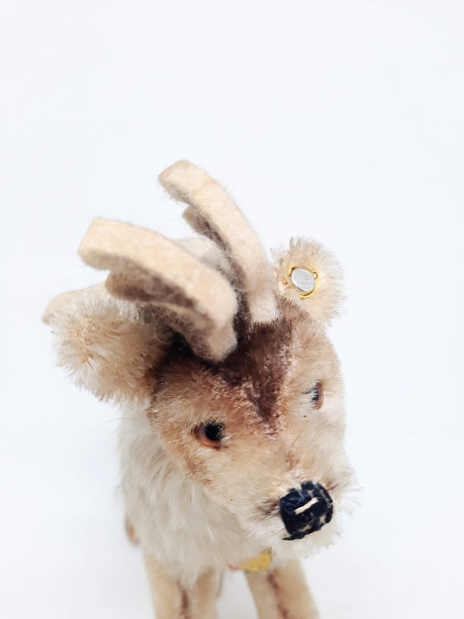 cat plush cute