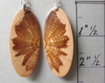 Wooden Long Rectangle Dangle Earrings from Sustainable Exotic Walnut Wood Hypoallergenic Handmade in USA.
