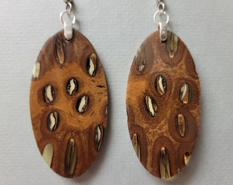 Banksia Cone and Resin Exotic Wood Earrings Lightweight Exoticwoodjewelry @RTobaison