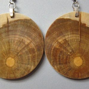 Circle, Earrings Norfolk Island Pine, Exotic Wood hypoallergenic handcrafted large image 1