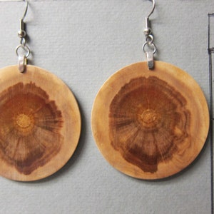 Large, Circle Earrings 1 1/4 inch Norfolk Island Pine Exotic Wood Earrings Handcrafted ExoticWoodEarrings image 2