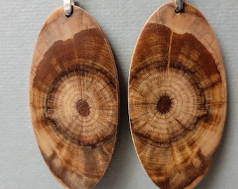 Unique Exotic Wood Earrings, Monkey Puzzle surgical steel hypo allergenic handcrafted ExoticWoodJewelry