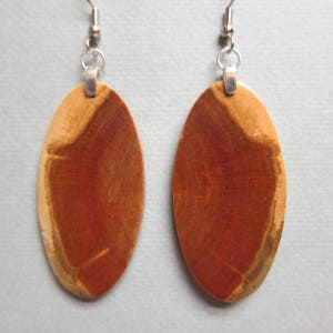 Unique Exotic Wood Earrings Norfolk Island Pine repurposed ecofriendly Handcrafted ExoticWoodJewelryAnd