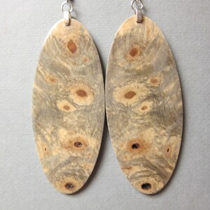 HUGE Buckeye Burl Exotic Wood Earrings Oval Lightweight repurposed ecofriendly Handcrafted image 1