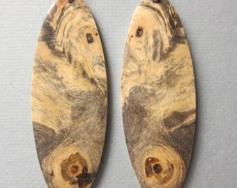 EXTRA Large Buckeye Burl, Long Oval Dangle, Exotic Wood Earrings,  Handcrafted Lightweight