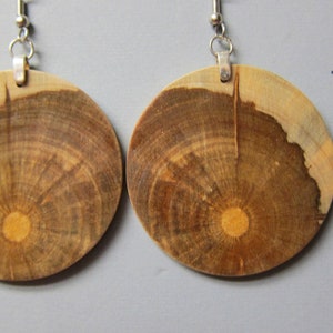 Circle, Earrings Norfolk Island Pine, Exotic Wood hypoallergenic handcrafted large image 2