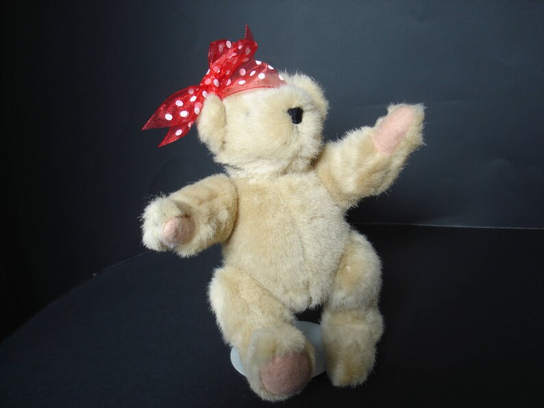 Collectible Bear Small Fully Jointed Teddy Bear Muffy VanderBear Best Dressed Bear North American Bear Company Muffy Collection