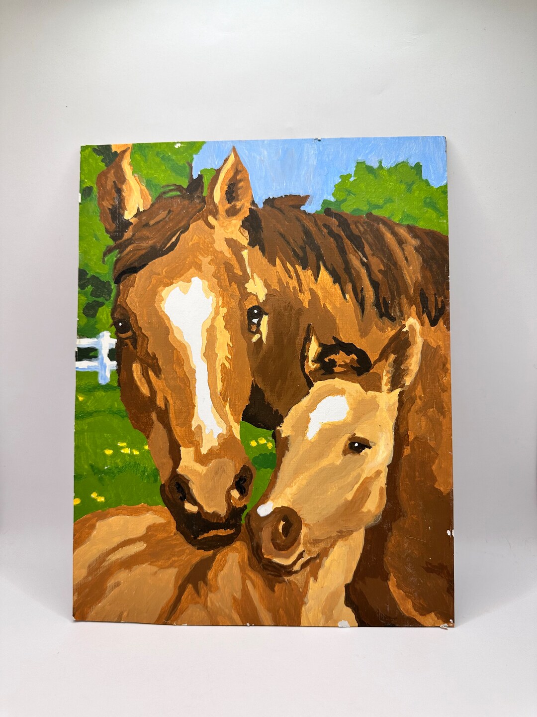 Paint by Number Horse and Colt 9 X12 Unframed - Etsy