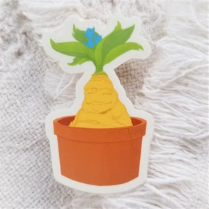Stickers botaniques !