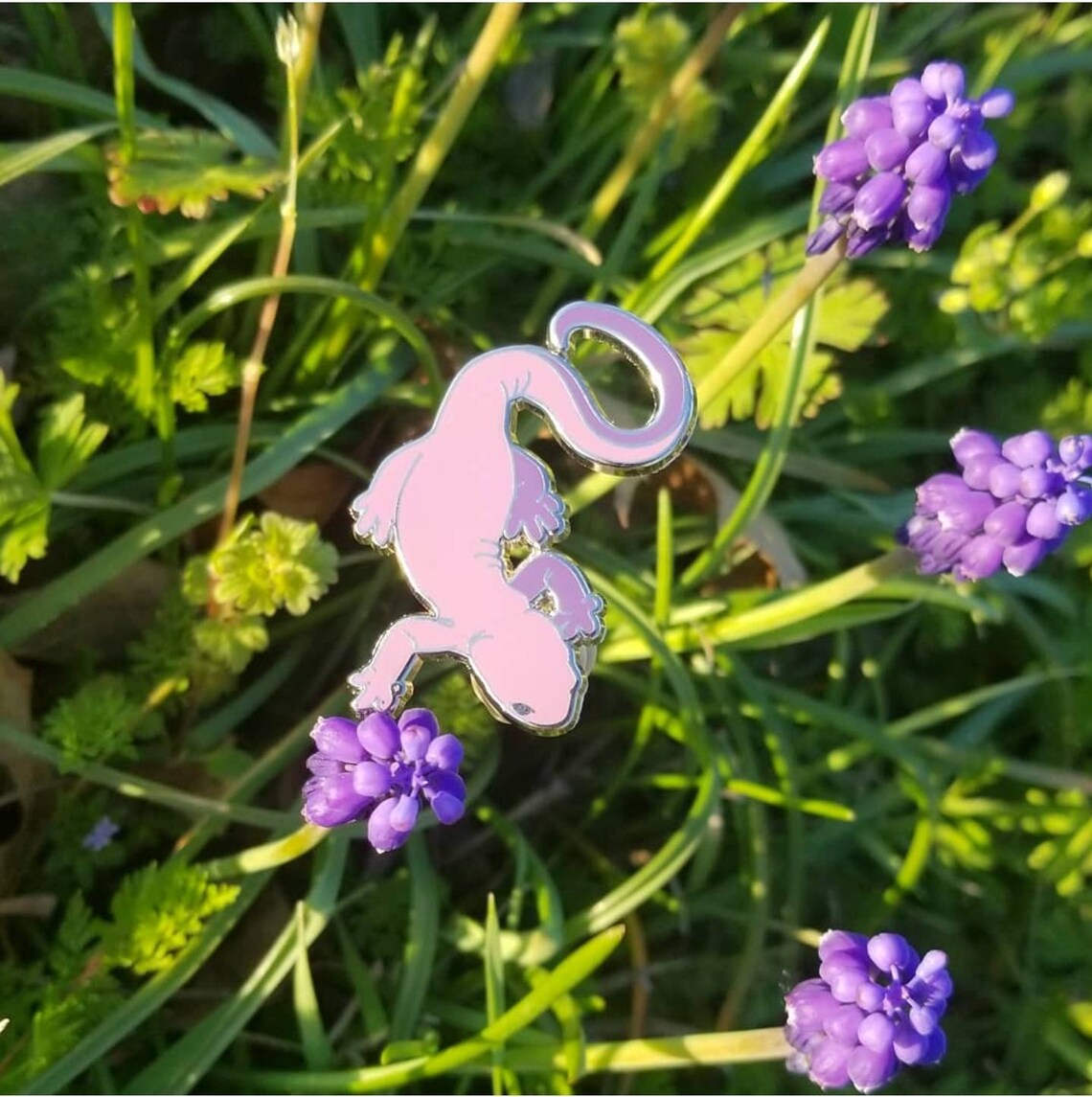 Hard Enamel Pin Herbology Witches Garden Newt Etsy