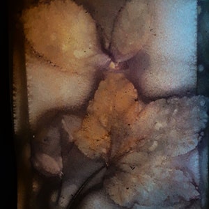 Eco Printed digital images for junk journal or scrapbook detailed and crisp leaves (set B)