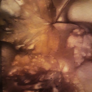 Eco Prints Beautiful Fall Leaves digitale per diari spazzatura, scrapbooking, cartoline (Set E)