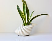 Small Pink Iridescent Ceramic Sea Shell Planter Beach House Plant Pot House Warming Gift Home Decor Bohemian Boho