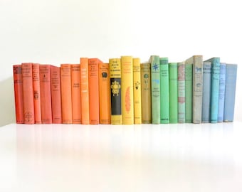 Vintage Hardcover Book Collections / Color Coordinated Book Stack Bundle / Shelf Decor / Home Library Decoration / Antique Staging Props