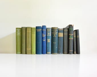 Curated Vintage Hardcover Book Collection / Neutral Color Coordinated Bookstack Bundle Decor / Library Decoration / Antique Staging Props