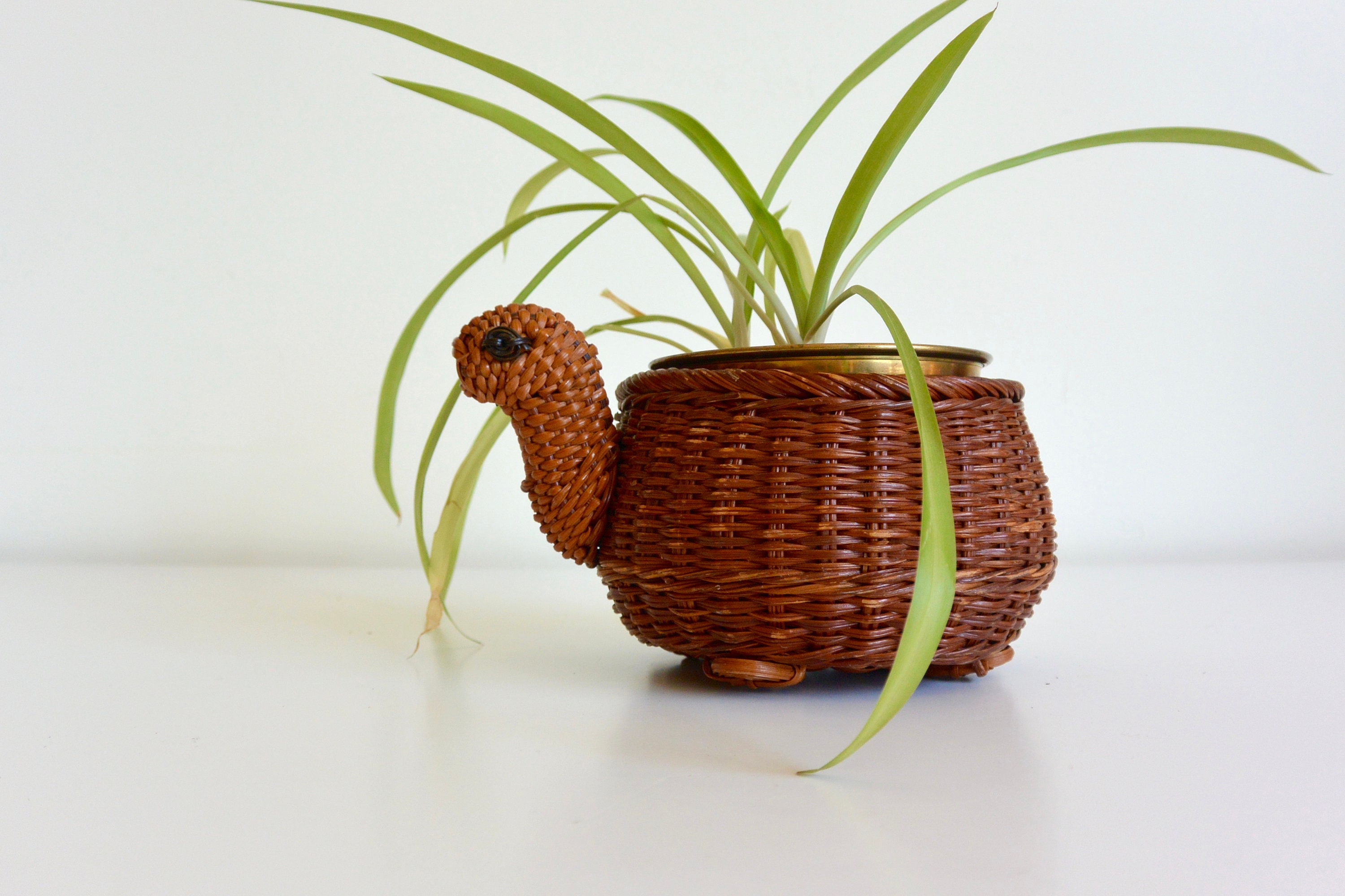 Turtle Shaped Wicker Basket Plant Holder with Feet Etsy