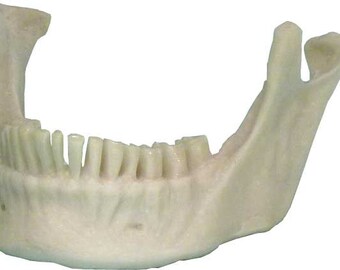 その他 VINTAGE JAW BONE CALIFORNIA FREE FORM il_340x270.5697379819_9b7n.jpg