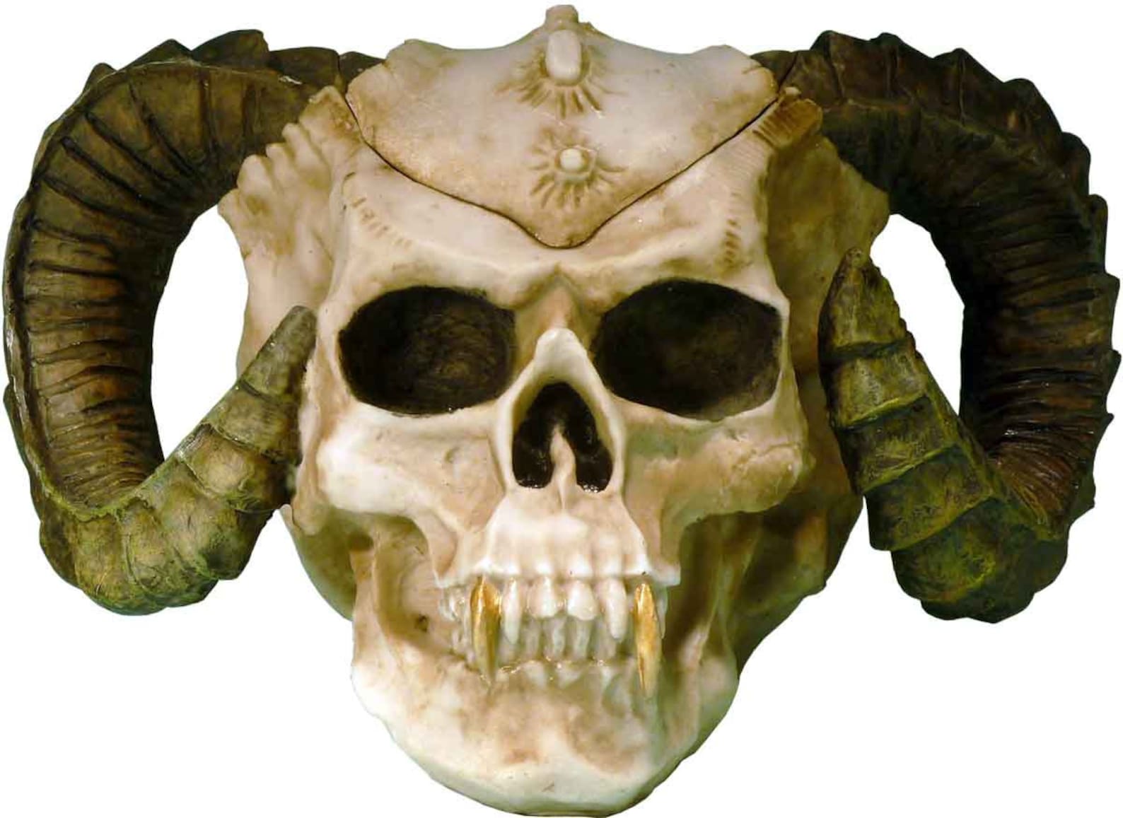 Demon-Devil Ram Horned Voodoo Skull Life Size Replica Aged image 0.