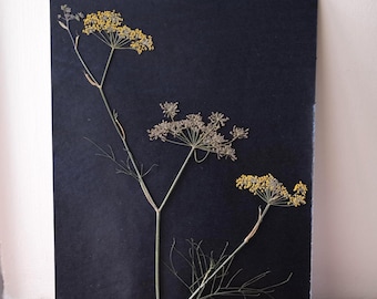 Handmade Pressed Flower Artwork – A4 - Bronze Fennel - Real Pressed Flowers - Wall Decor