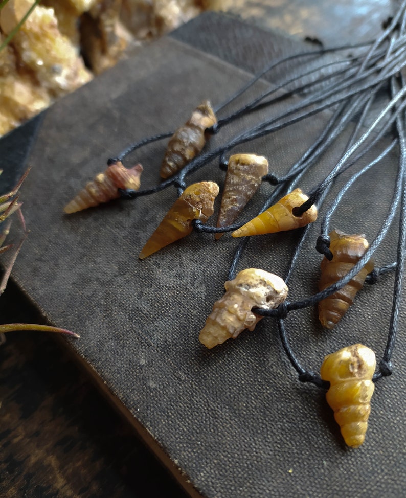 Gastropod Fossil Necklace. Unisex Crystal Necklace