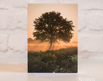 Oak At Dawn Fine-Art Photographic Greetings Card. Oak Tree in the dawn light, blank photo card. Tree photography in the English Landscape.