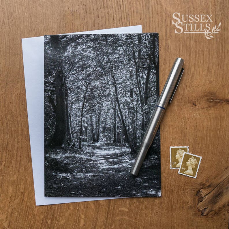 Tree Card Blank Greeting Card Black /& White Photography Fine Art Card Tree Print Tree Photo Nature Card Black and White Print