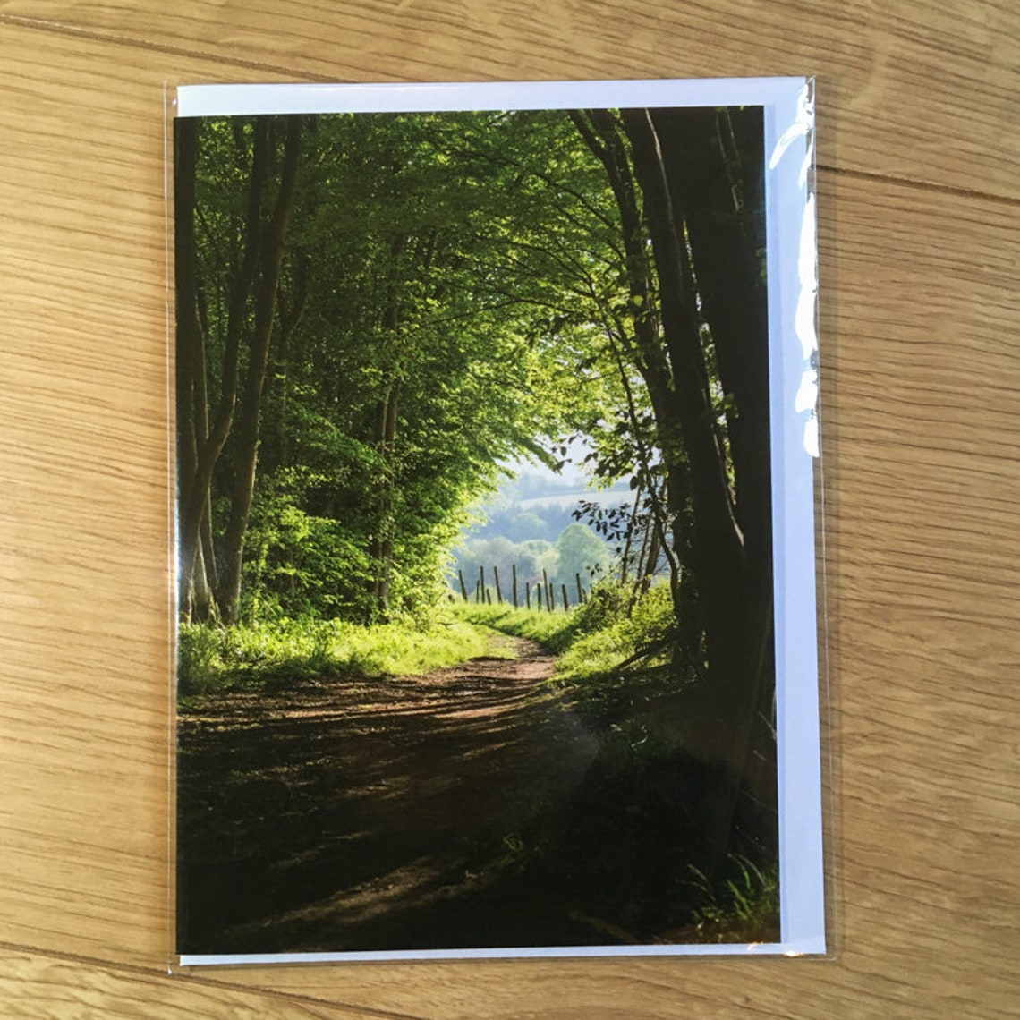 Mottsfont An Outdoor Natonal Trust Vst – Artoft