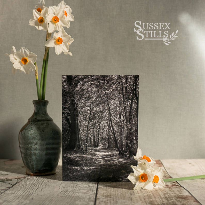 Tree Card Blank Greeting Card Black /& White Photography Fine Art Card Tree Print Tree Photo Nature Card Black and White Print