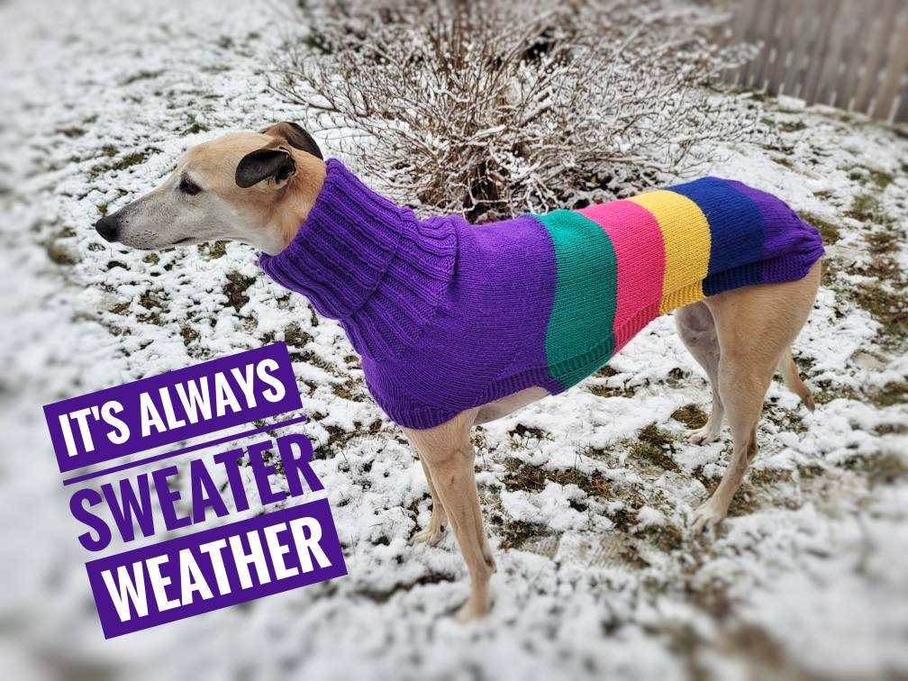 cat food on sale near me