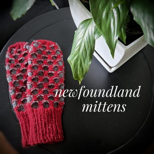 May include: A pair of red and grey knit mittens featuring a textured honeycomb pattern and ribbed cuffs. The text "newfoundland mittens" is printed in white in the centre of the image, positioned next to the knitwear.