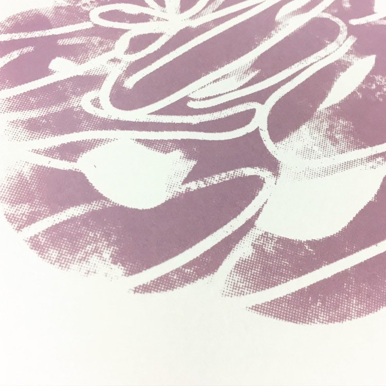 Pink Rose A4 Hand Pulled Original Screenprint , Wallart, Home Decor ...