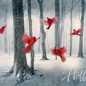 Hoffman Fabric Call of the Wild Cardinal panel & collection.