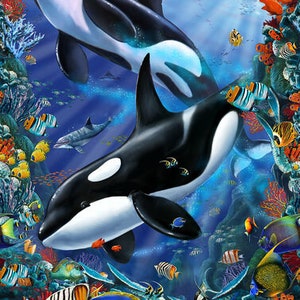 Reef Life Stoff von Studio E